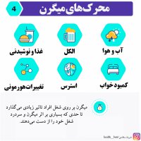 ضربان سلامتی - مرداد ماه 1400