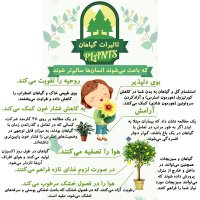 ضربان سلامتی - خرداد ماه 1399