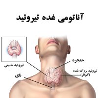ضربان سلامتی - خرداد ماه 1399