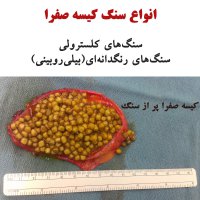 ضربان سلامتی - تیر ماه 1399