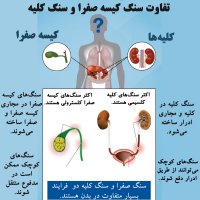 ضربان سلامتی - تیر ماه 1399